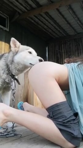 Girl Fucked By Dog