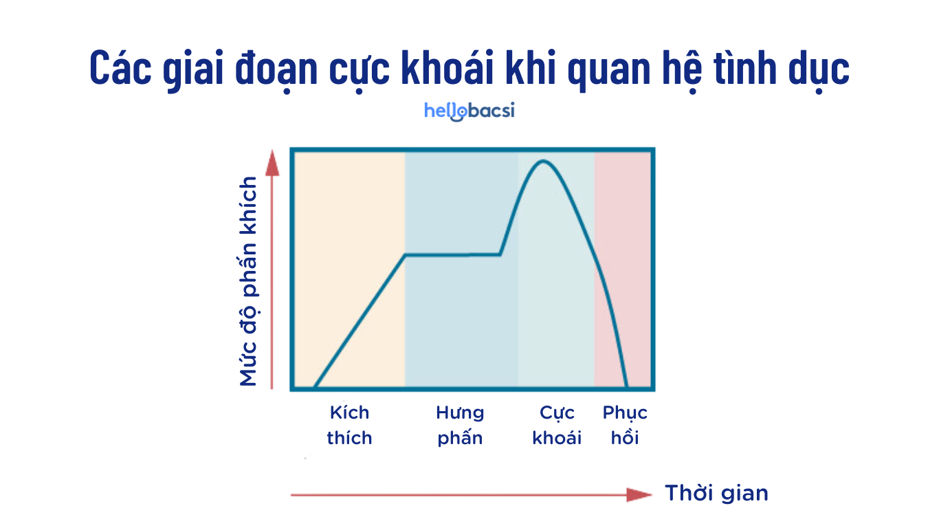 Các giai đoạn cực khoái khi quan hệ tình dục