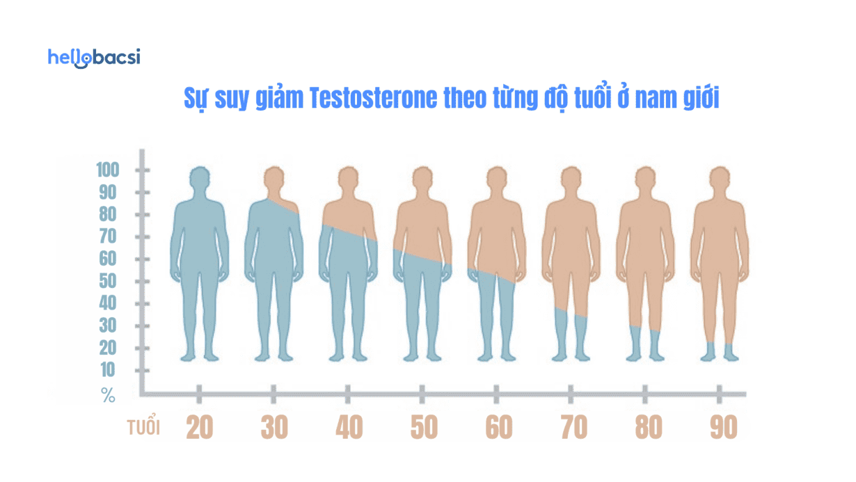 Nống độ testosterone của đàn ông sẽ bắt đầu giảm dần sau độ từ 30 - 40 tuổi